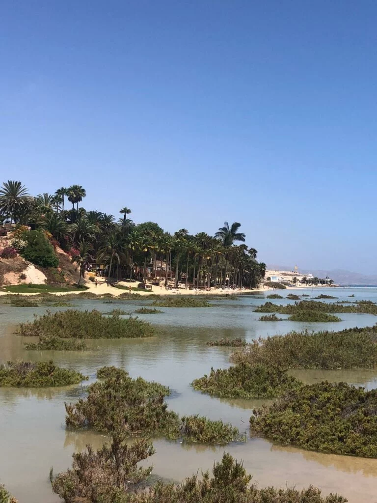 Lagune am Playa de Sotavento bei Flut