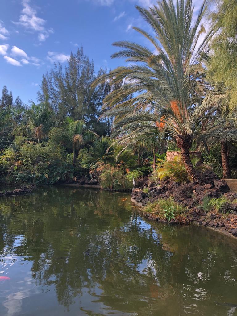 Oasis Wildlife