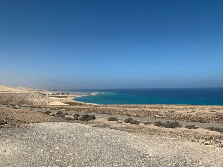 Kilometerlange Strände wie der „Playa de Sotavento“ laden zu einem ausgiebigen Spaziergang ein